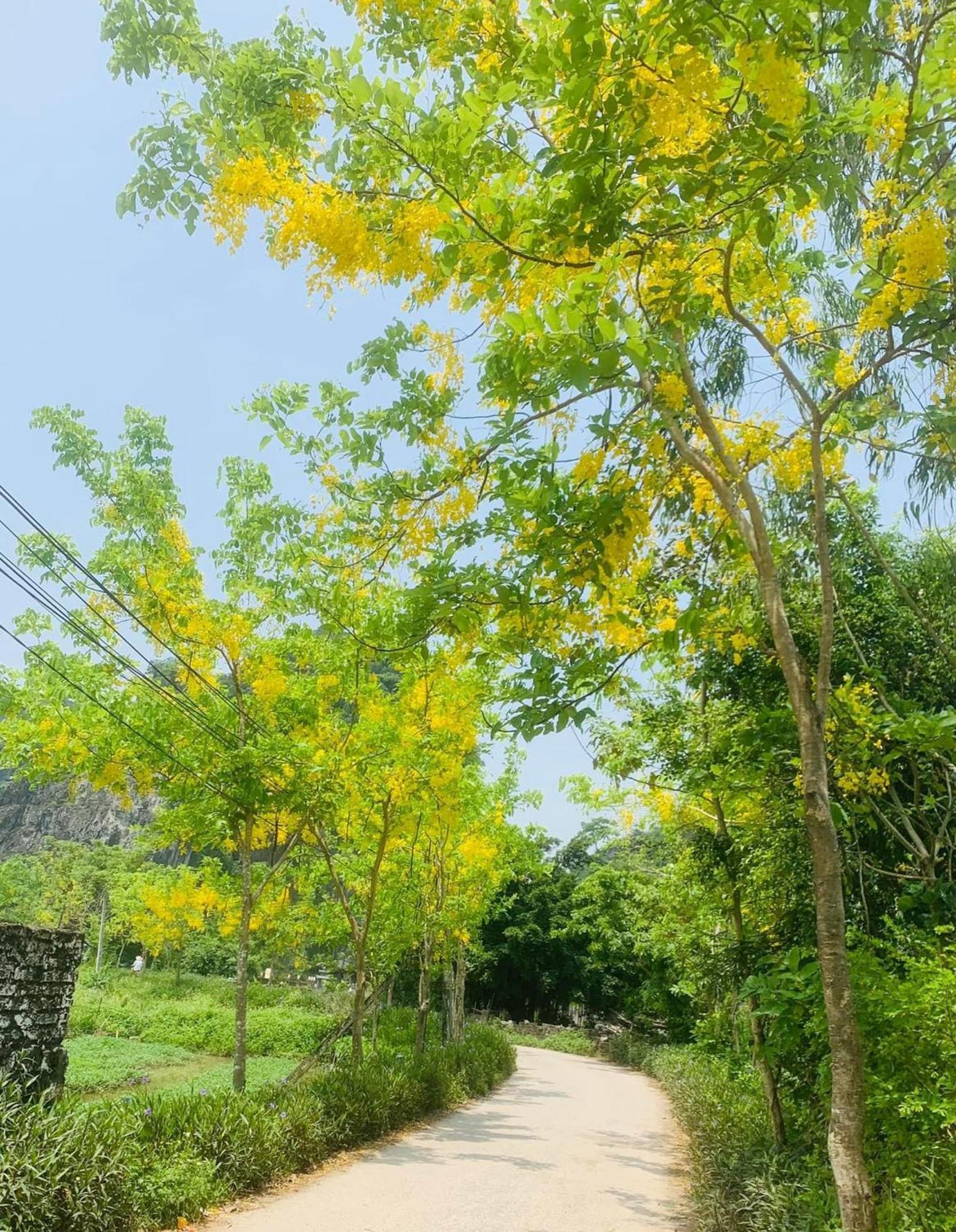 Hotel Tam Coc Min House Vu Lam Esterno foto